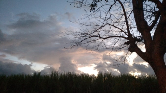 IMG_20160414_052937671