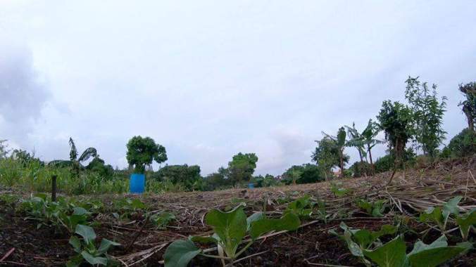 received_10153614596405172