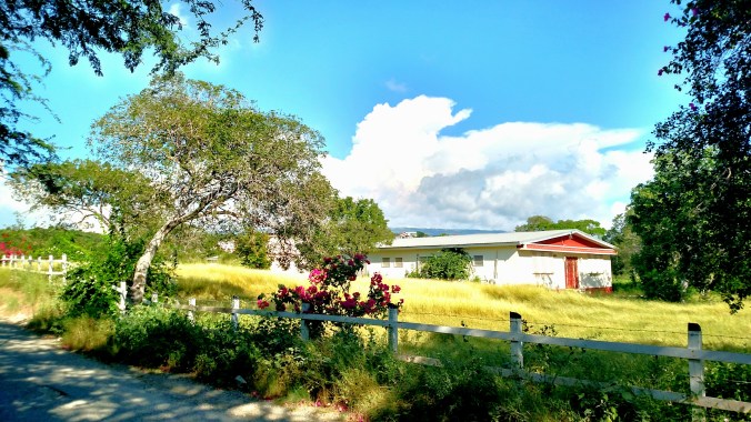 Beach house in Treasure Beach