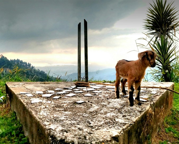 This view is great!! No kidding :P