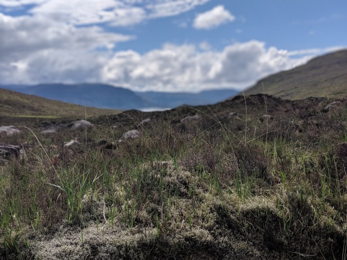 00100dPORTRAIT_00100_BURST20190520150052200_COVER